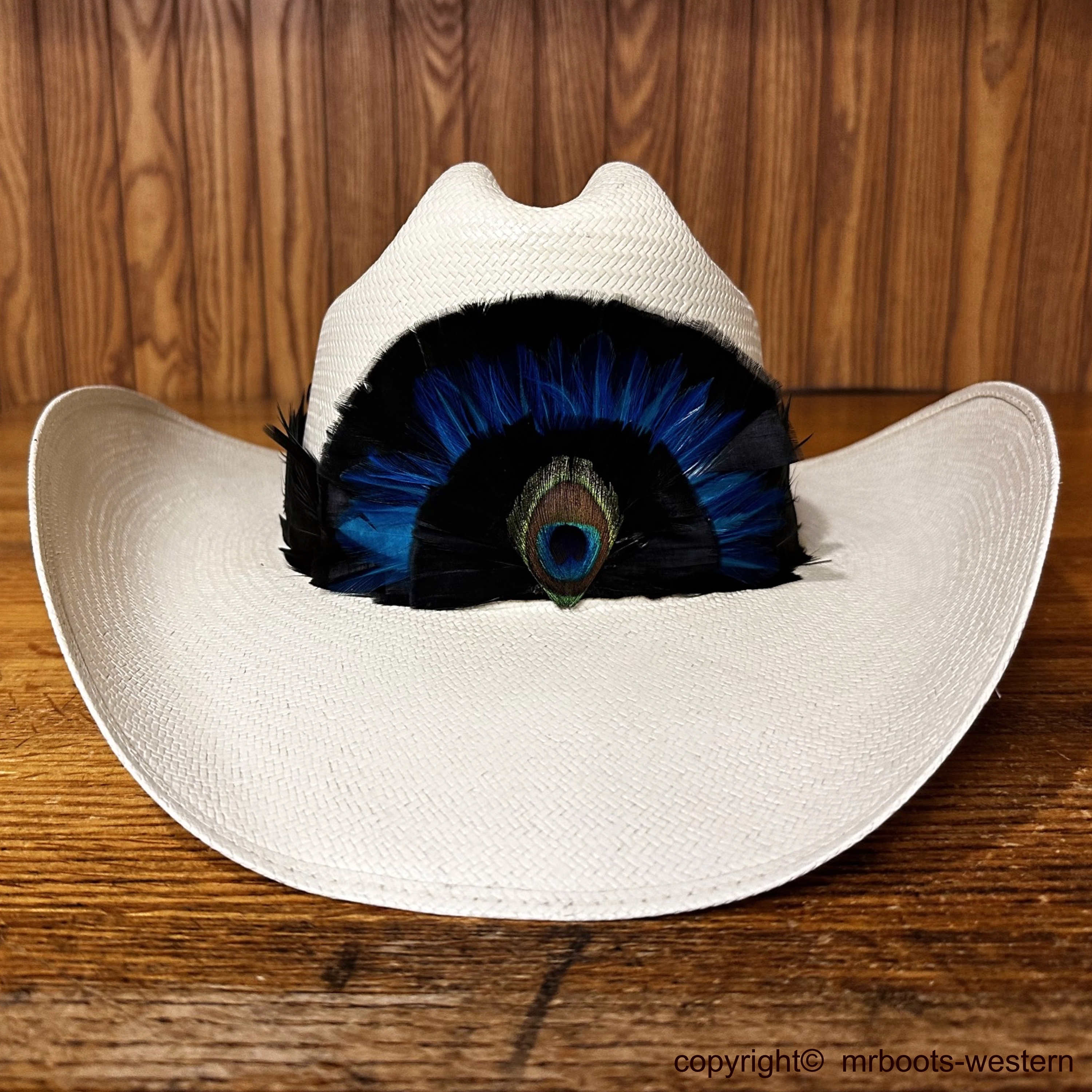 Western Hat Feather Hat Band - Vistoso – Willow Lane Hat Co.