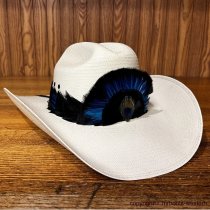 AU-FHB-06 Feather Hat Band Black & Blue with Peacock