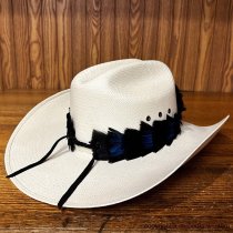 AU-FHB-06 Feather Hat Band Black & Blue with Peacock