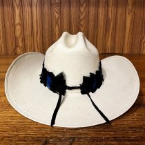 AU-FHB-06 Feather Hat Band Black & Blue with Peacock