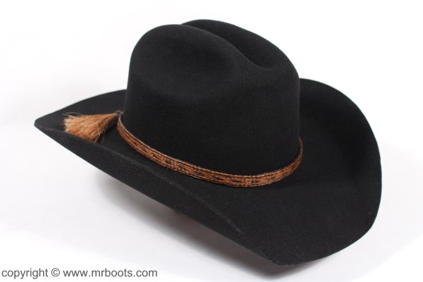 AU-HH05-04 Horse Hair Hat Band Five Strand Brown and Black