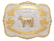 MF-38438 Trophy Buckle Show Cow 4 Ribbons